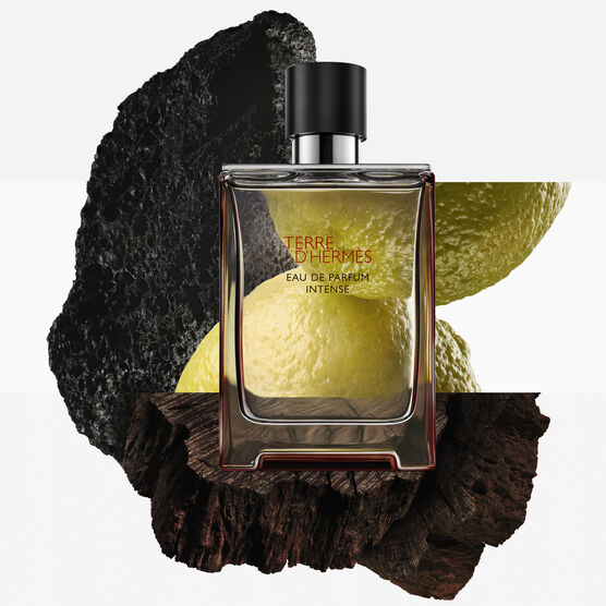Perfume Herm&egrave;s Terre D'Herm&egrave;s Masculino Intense Eau de Parfum
